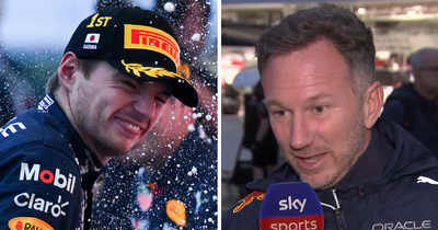 Christian Horner hails "dominant" Max Verstappen as Fernando Alonso F1 record equalled