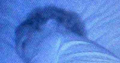 Terrified mum spots creepy 'faces' on baby monitor - just inches from sleeping daughter