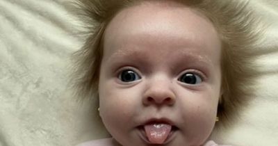 Baby's 'crazy hair' sticks out in every direction with strangers stopping mum in street
