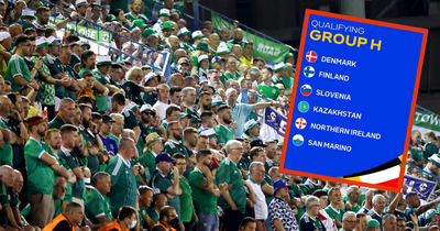 Northern Ireland Euro 2024 qualifying draw - how fans reacted