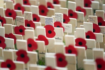 Minister confirms free train travel for veterans to attend remembrance services