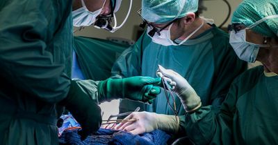 Forceps left in patient's stomach for five YEARS after caesarean surgery