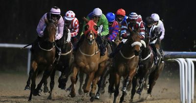 Newsboy's horse racing tips for four meetings on Monday, including the nap at Wolverhampton