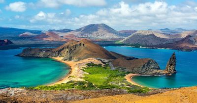 China shifting fishing focus to the Galapagos islands - putting habitat in danger