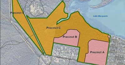 Major residential developer puts forward plan to offset land clearing at Wyee