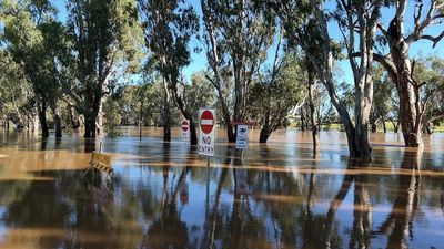 Sydney news: Reprieve from rain for now but another dumping expected on Wednesday