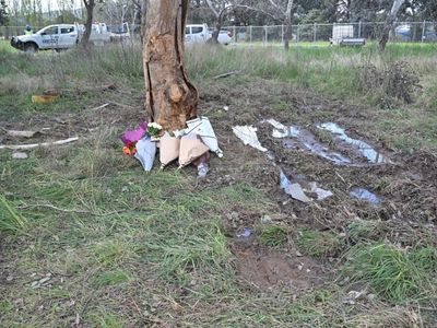 Teen faces court after 'horrific' crash