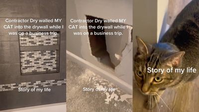 This TikToker’s Cat Got Trapped In The Walls For 3 Days By Builders Renovating Her Bathroom