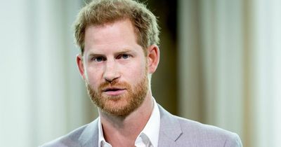 Prince Harry's memoir will 'never see light of day' because there'll be 'no way back'