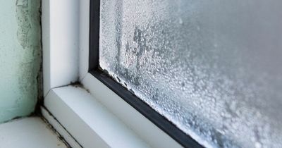 What causes condensation and how to stop it forming on your bedroom windows