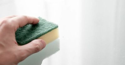 Dirtiest object in your house is one you use to clean everything else