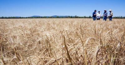 CSIRO developing roadmaps for regions to thrive in low-emission economy