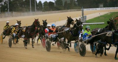 Harness Racing: Copps-Gallagher land daily double at Newcastle