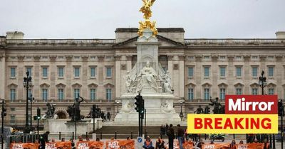 Just Stop Oil blocks Mall as they stage sit-down protest in front of Buckingham Palace