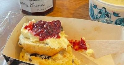 Passenger's elaborate cream tea spread on 'busy train' sparks travel etiquette debate