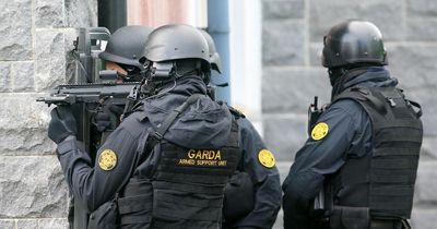 Angry dog owner wielding pitchfork tasered by Garda Armed Response Unit