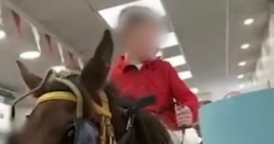 Supermac's customers baffled as two boys ride horses into restaurant in bizarre scenes