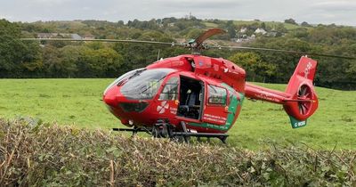 Police issue update on cyclist assaulted in broad daylight