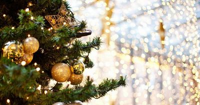 Top 10 tips to prepare for Christmas on a budget includes buying tree early and being voucher savvy
