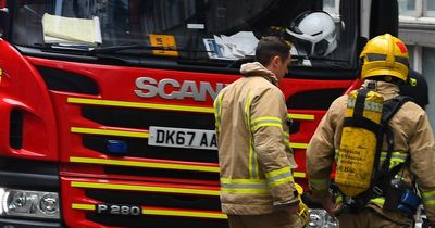 Man, 45, arrested after cars set on fire while homeowners slept