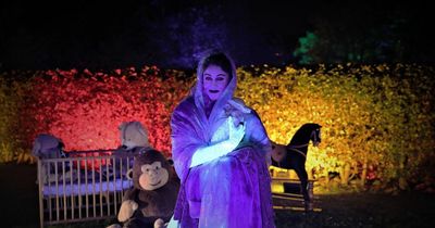 Edinburgh Zoo invites brave visitors to experience after-dark Halloween trail this October