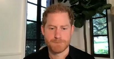 Prince Harry shares update on Lilibet as he fulfils promise in emotional call