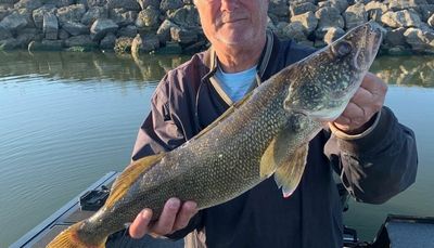 Comparing walleyes in a goodbye to fishing at Heidecke Lake