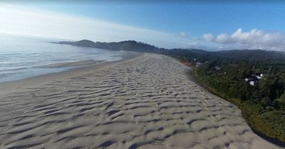 Warning issued after beachgoers find multiple hand grenades washed up in Oregon