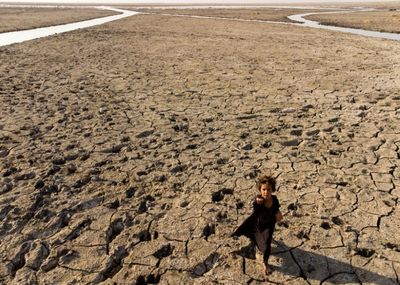 Iraq drought displaces 1,200 families in parched south