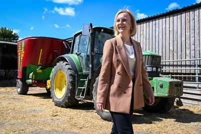 Liz Truss opposes placing solar panels on farmland, Downing Street says