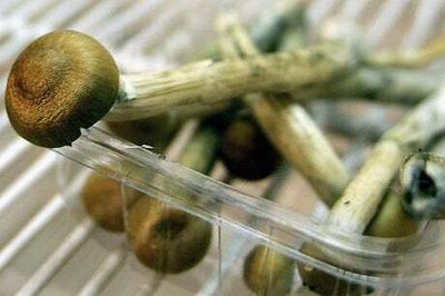 London start-up starts testing psychedelics to treat mental conditions