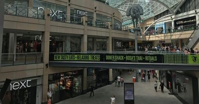 World's first cleaning festival coming to Trinity Leeds shopping centre