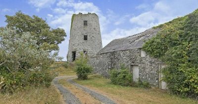 Coastal cottage with secluded sea view comes with surprise windmill in the garden