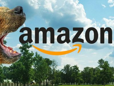 What To Watch For On Amazon Stock As This Bearish Pattern Looks To Play Out