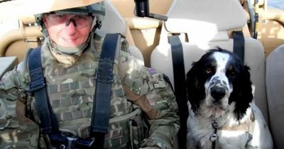 Royal Air Force rock all the way for Memphis