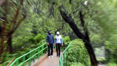 Rains bring down mercury, improve air quality in Delhi