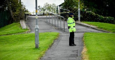 Man left with life-threatening injuries after being stabbed twice behind Iceland store in hooded gang's terrifying attack