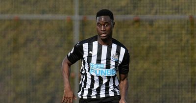 Henri Saivet comments deliver damning reflection of Newcastle United under Mike Ashley