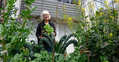 An open garden not to be missed