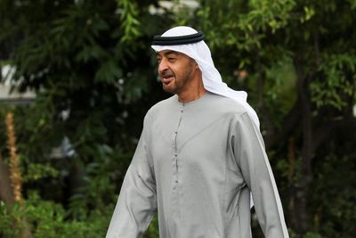 UAE president's visit to Russia to help reach 'solutions' to Ukrainian crisis -ministry