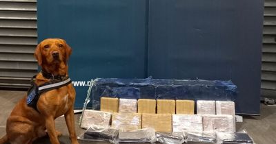 Man and woman arrested after gardai seize over €1 million worth of cocaine at Dublin Port