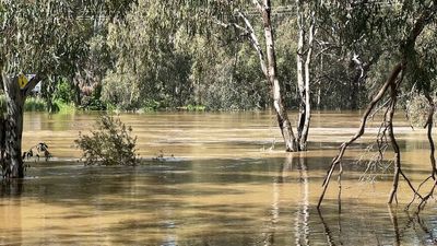 Sydney news: Residents across the state warned to brace for more rainfall tomorrow