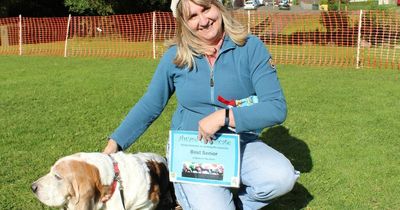 Annual Lanarkshire dog show returns to get tails wagging