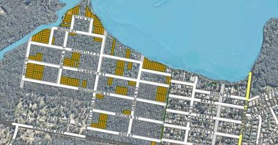 Council signs off on deal with major subdivision developer to offset clearing