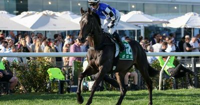 Racing: Australian Bloodstock's lucrative spell as Gold Trip opts for Caulfield Cup