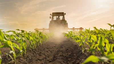 After 14 deaths in 18 months, public hearings into safety on WA farms are set to begin