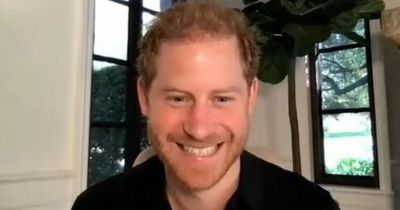 Prince Harry shares sweet update on Archie, Lilibet and pet dogs during charity video call