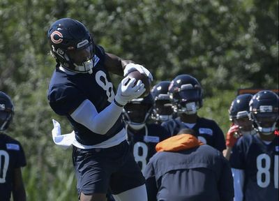 Bears activate WR N’Keal Harry off IR