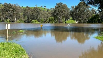 Southern NSW bracing for flood peaks, more than 100 flood alerts in place across NSW
