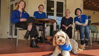 University of WA finds mental health success with drop-in service staffed by students — and dogs